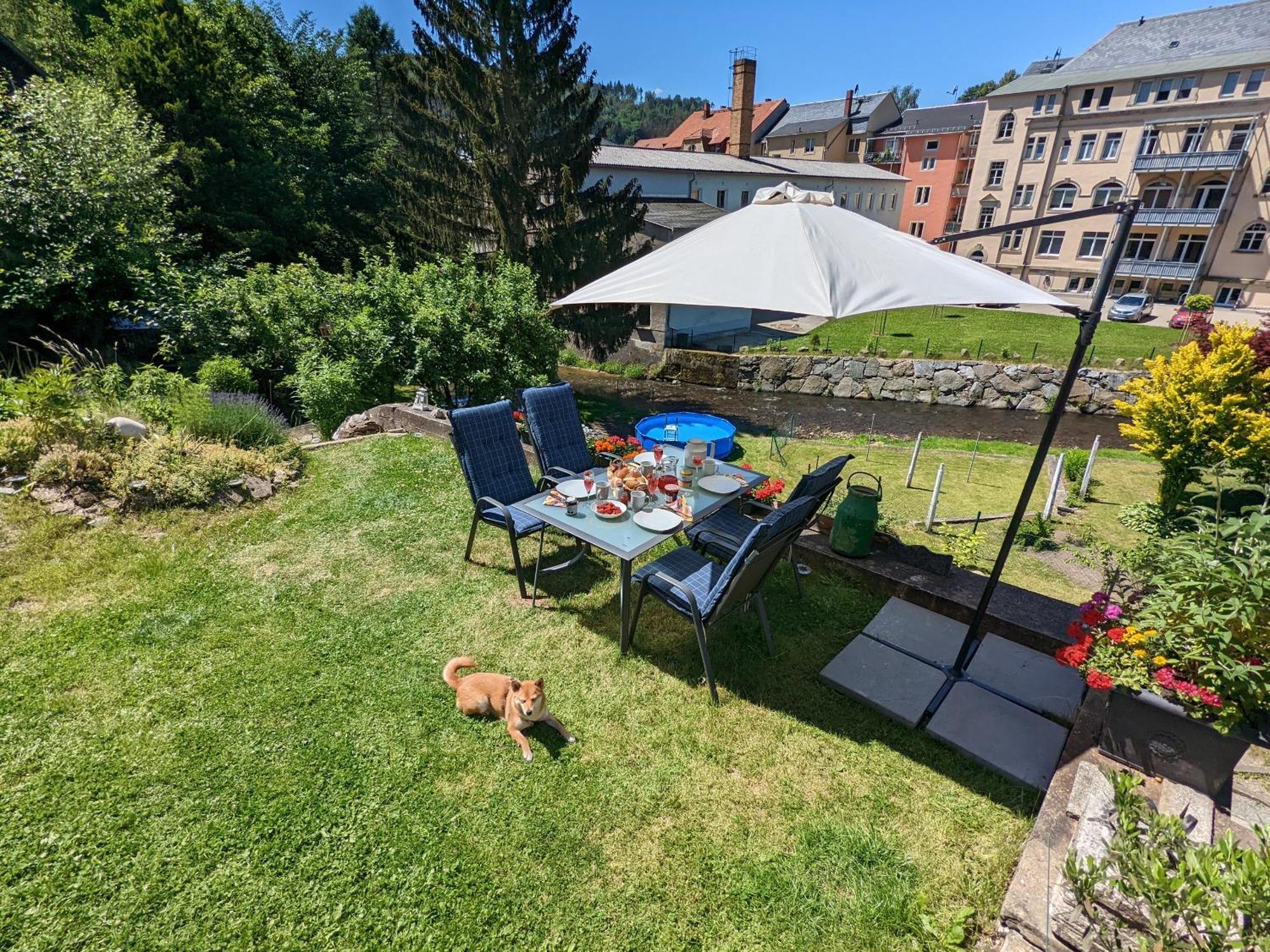 Zi2 - Urlaubsmagie - Whirlpool, Sauna Und Garten Apartment Sebnitz Exterior photo