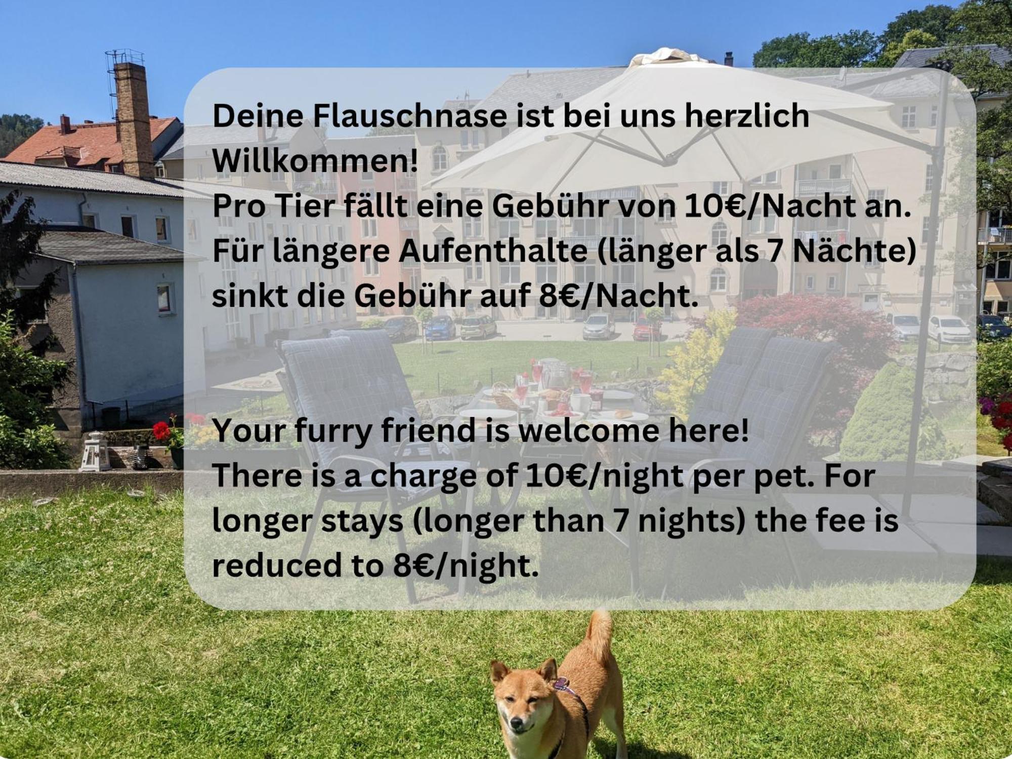 Zi2 - Urlaubsmagie - Whirlpool, Sauna Und Garten Apartment Sebnitz Exterior photo